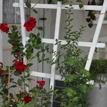 Windspiel Semesterbostad Kleeden