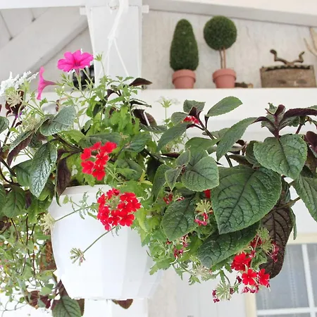 Semesterbostad Windspiel Kleeden