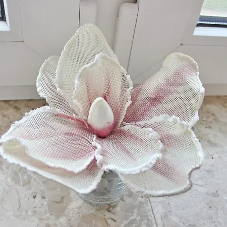 Windspiel Nyaraló Kleeden