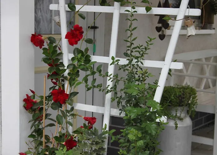 Windspiel Semesterbostad Kleeden