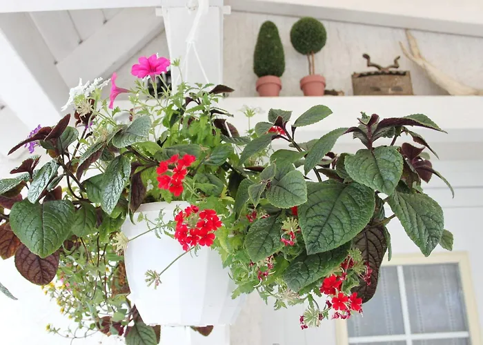 Semesterbostad Windspiel Kleeden