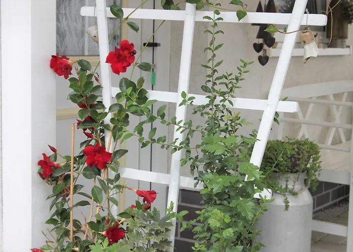 Nyaraló Windspiel *